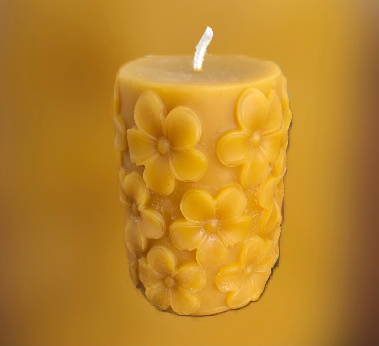 Hand poured/rolled Beeswax candles