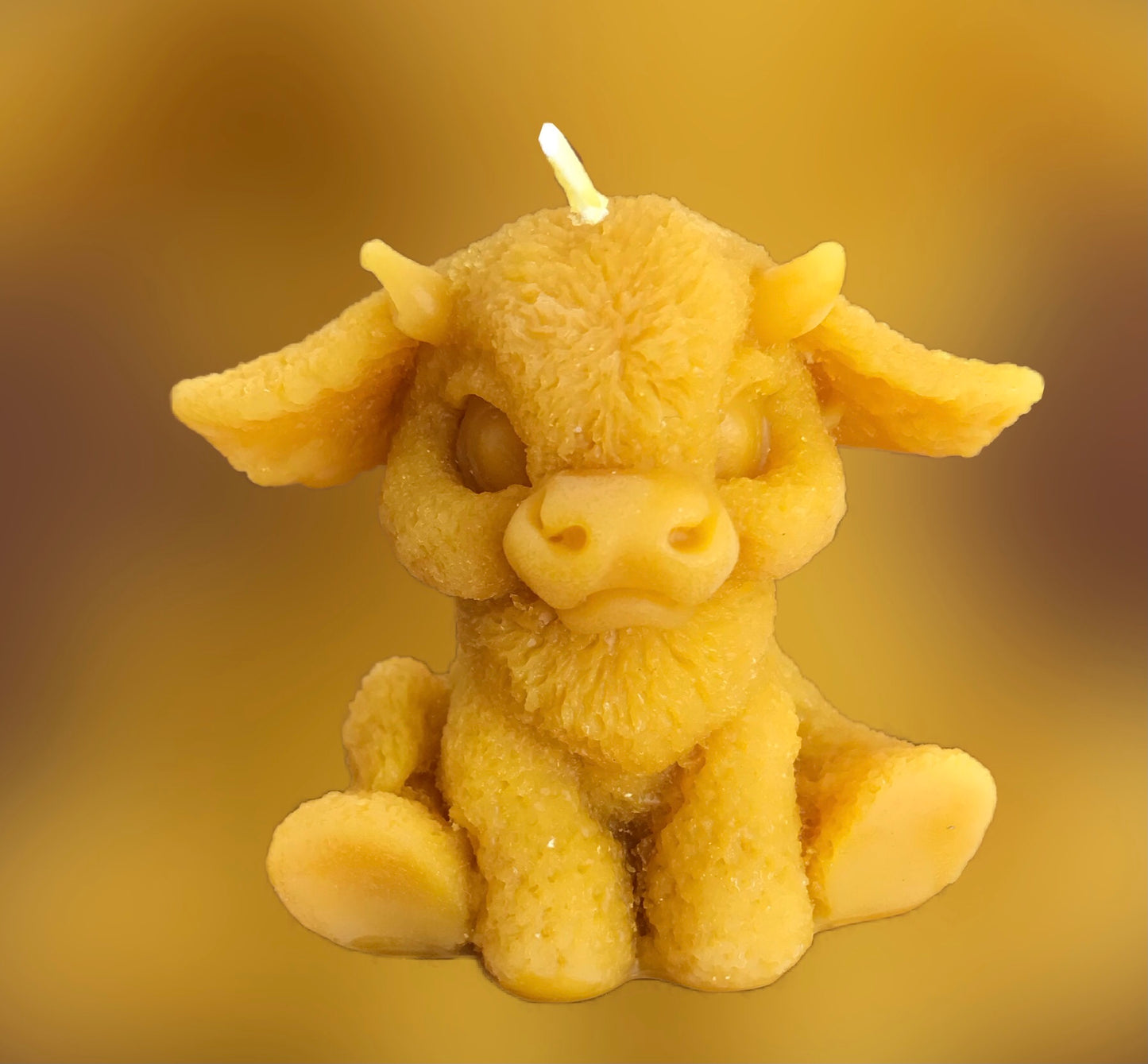 Hand poured/rolled Beeswax candles