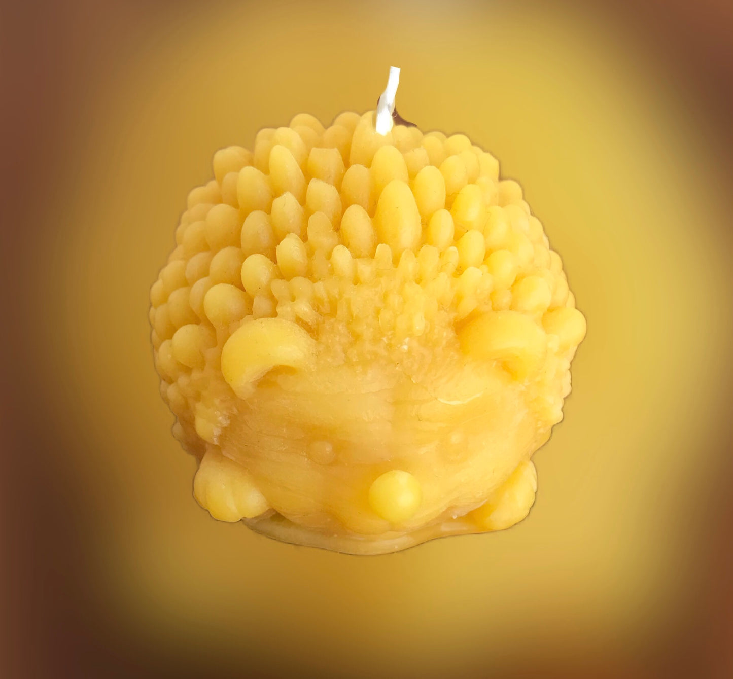 Hand poured/rolled Beeswax candles