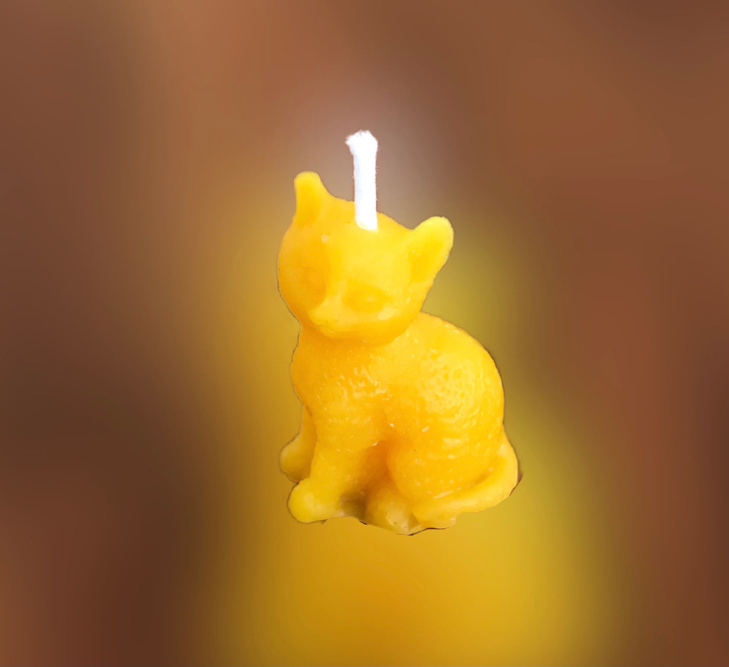 Hand poured/rolled Beeswax candles