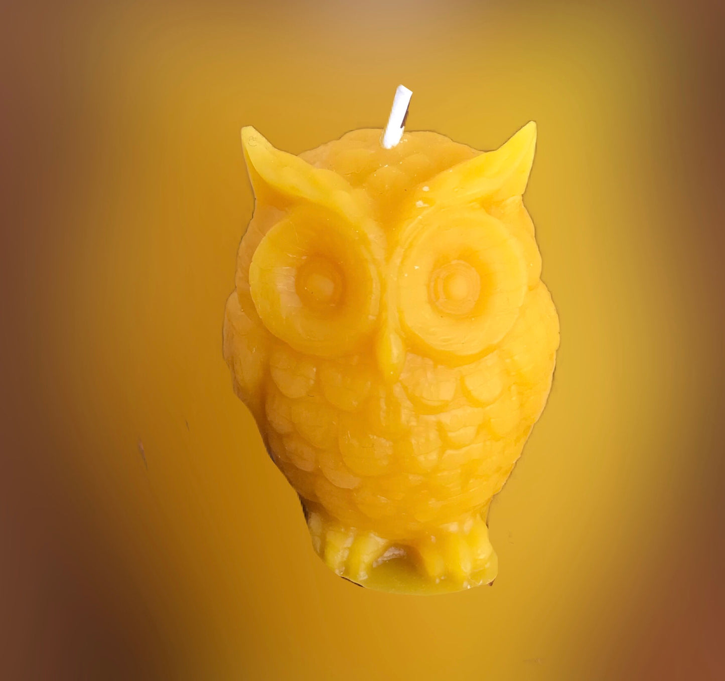 Hand poured/rolled Beeswax candles