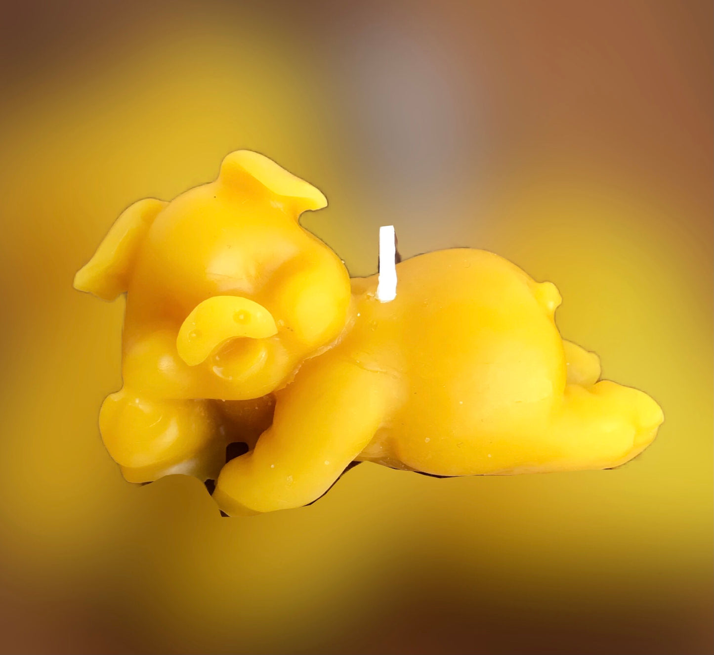 Hand poured/rolled Beeswax candles