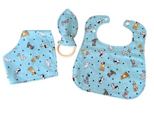 Baby's Bib Gift Set
