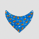 Baby’s Bib - Bandana Style